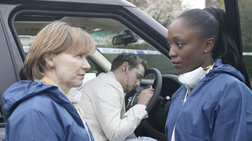Murder Investigation Team - Professional