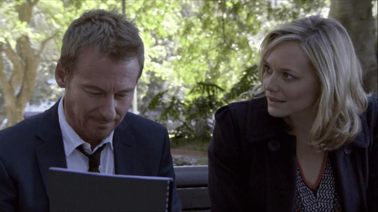 Rake Trailer image