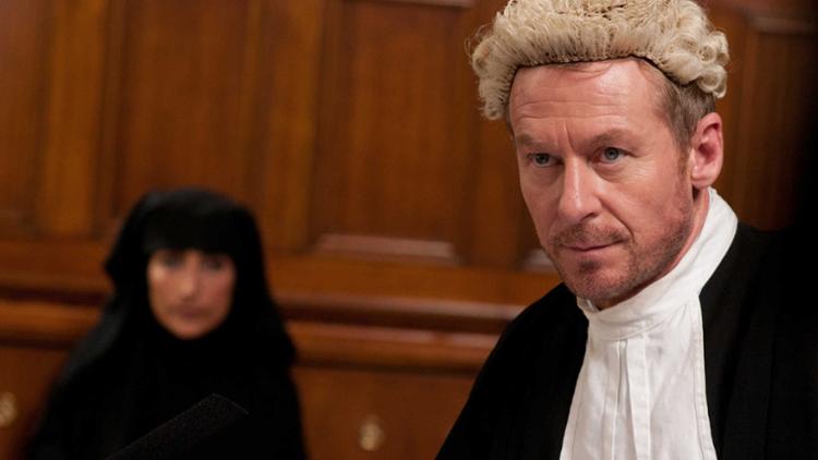 Rake Trailer image