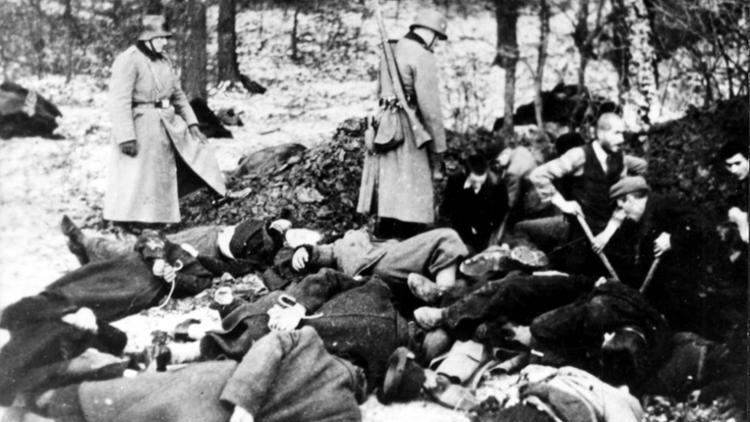 Rise of the Nazi Party Trailer image