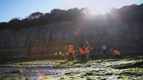 Shoreline Detectives - East Sussex