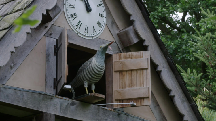 Trailer image