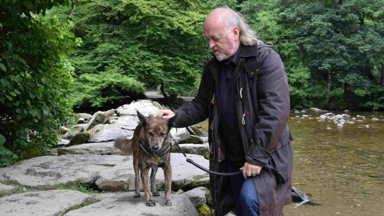 Walks with My Dog Trailer image