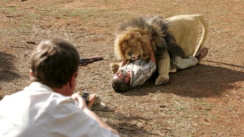 Wild at Heart