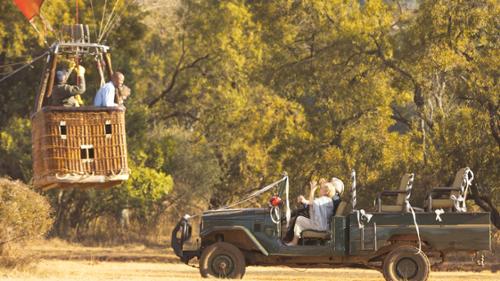 Wild at Heart