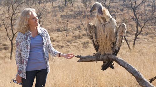 Wild at Heart