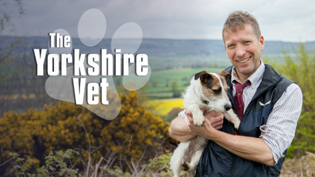 The Yorkshire Vet