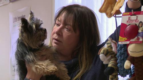 The Yorkshire Vet - Episode 1
