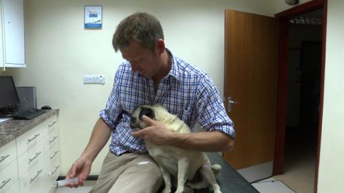 The Yorkshire Vet - Episode 4