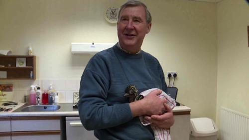 The Yorkshire Vet - Episode 1