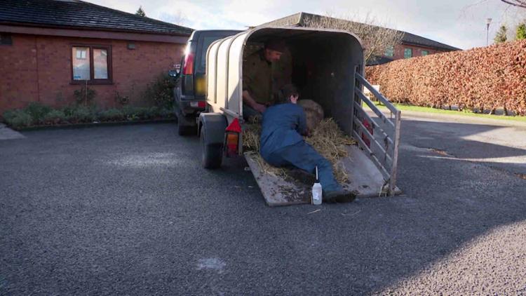 The Yorkshire Vet Trailer image