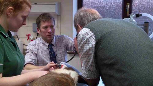 The Yorkshire Vet - Episode 4
