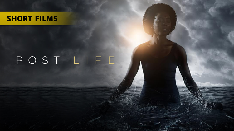 Post Life Trailer image